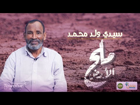 ملح الأرض..
