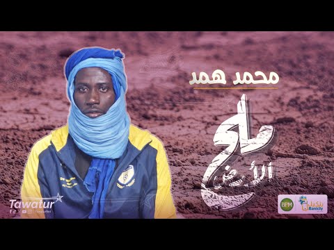 ملح الأرض..