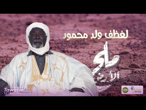 ملح الأرض..